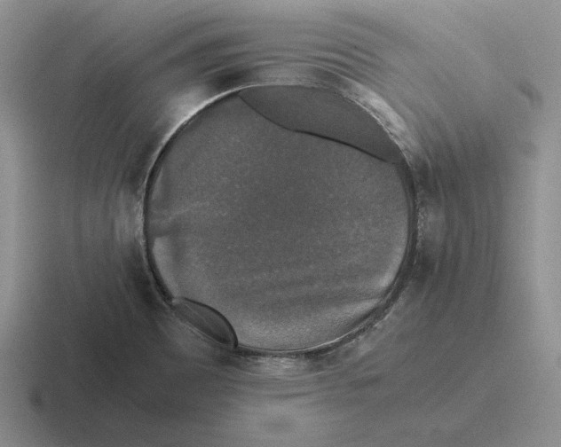 X0000116441465201001051155