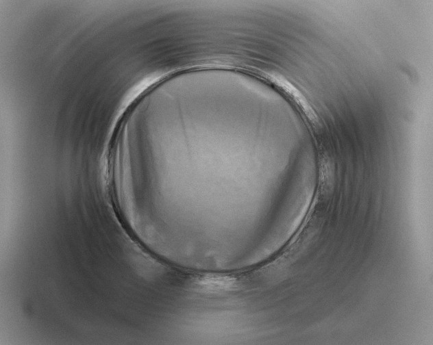 X0000116441466201001051155