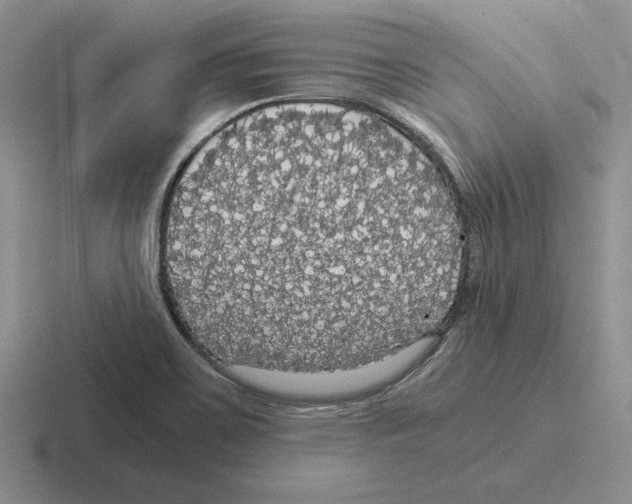 X0000116441467201001051155