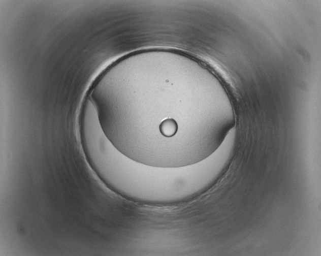 X0000116441468201001051155