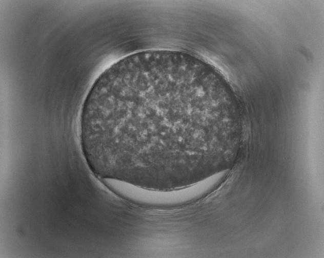 X0000116441471201001051155