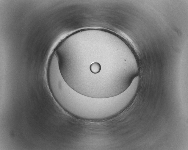 X0000116441472201001051155