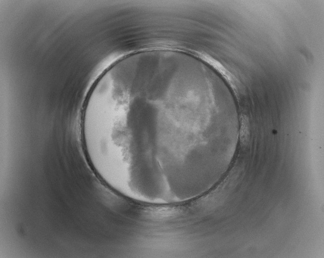 X0000116441474201001051155