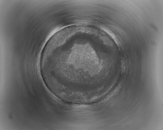 X0000116441475201001051155