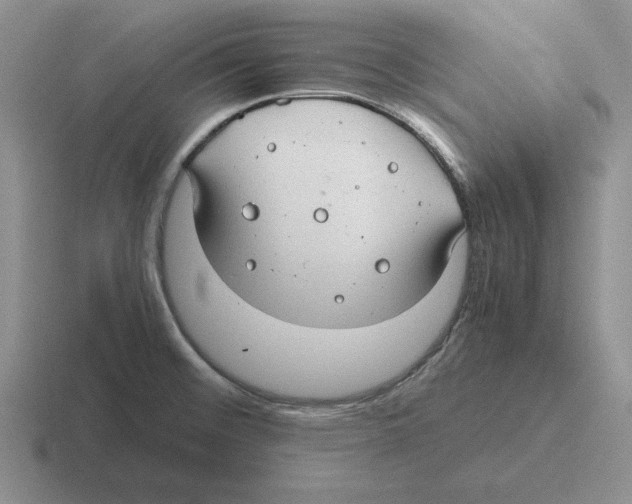 X0000116441476201001051155