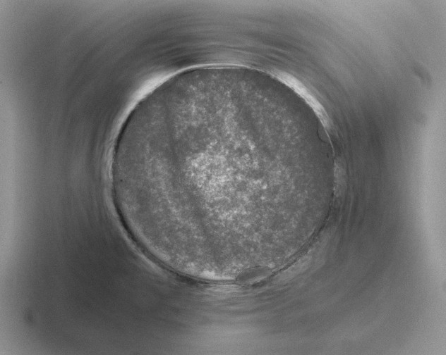 X0000116441477201001051155