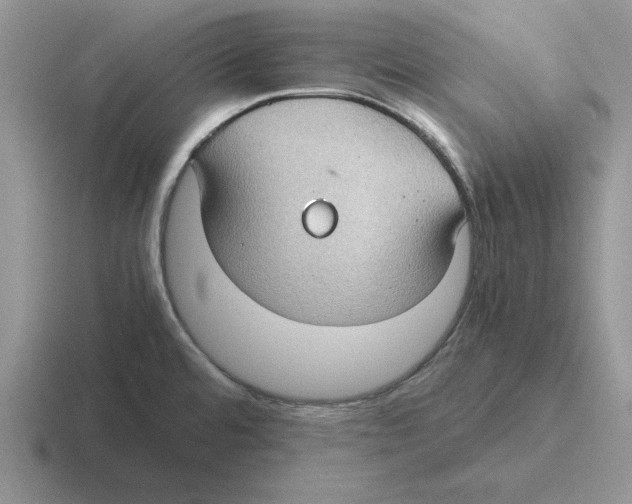 X0000116441480201001051155