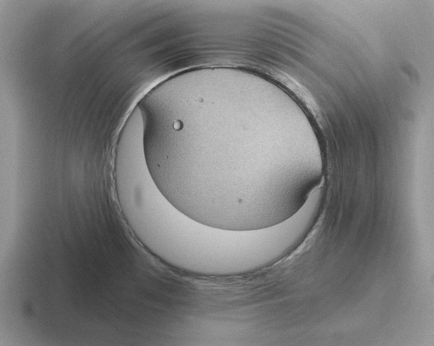 X0000116441481201001051155