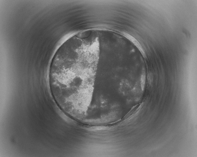 X0000116441482201001051155