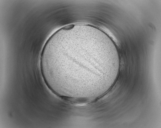 X0000116441484201001051155