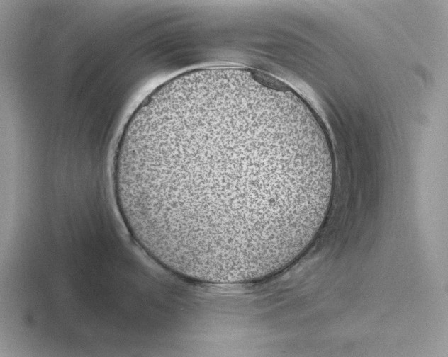 X0000116441488201001051155