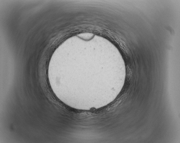 X0000116441489201001051154