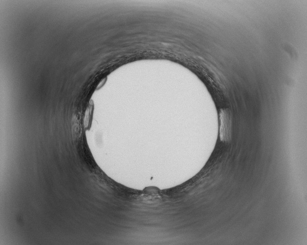 X0000116441491201001051154