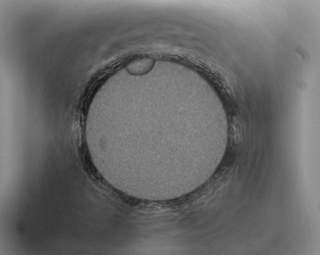 X0000116441493201001051154