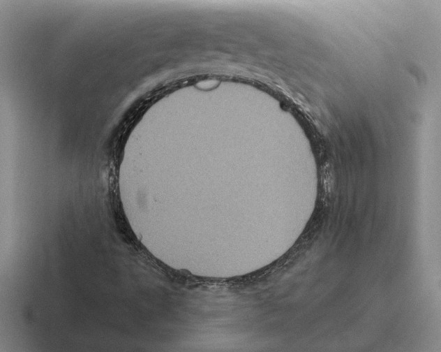 X0000116441495201001051154