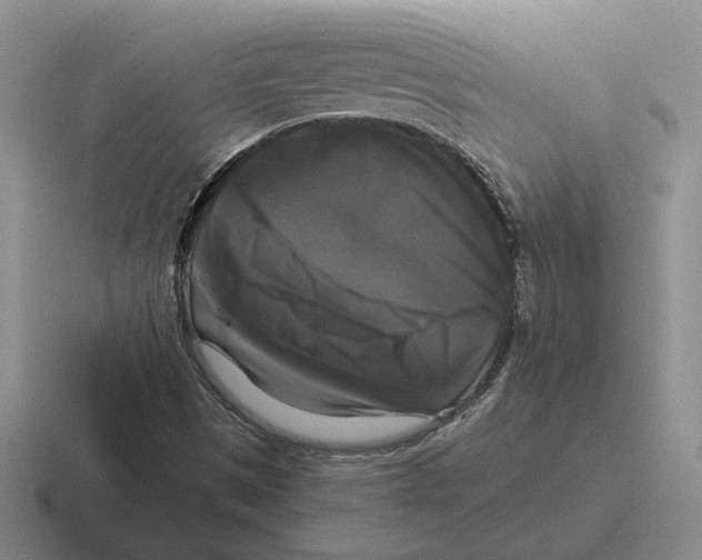 X0000116441497201001051154