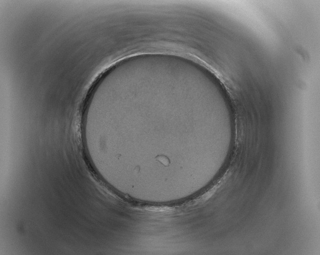 X0000116441498201001051154