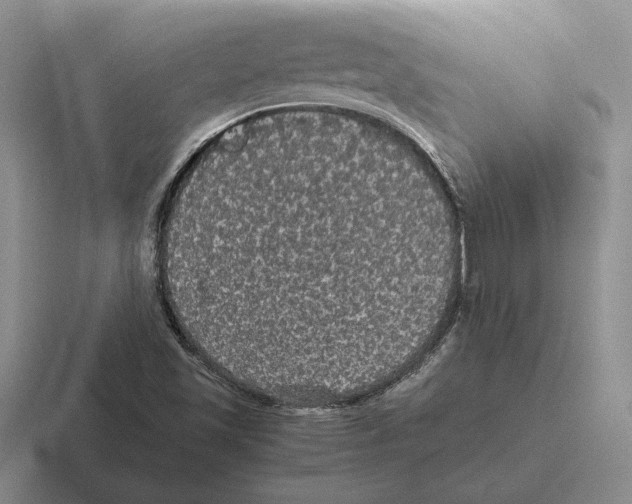 X0000116441501201001051154