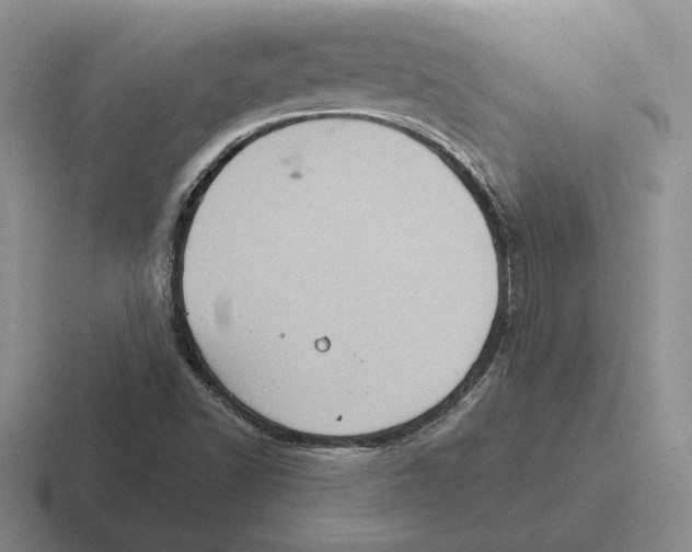 X0000116441502201001051154