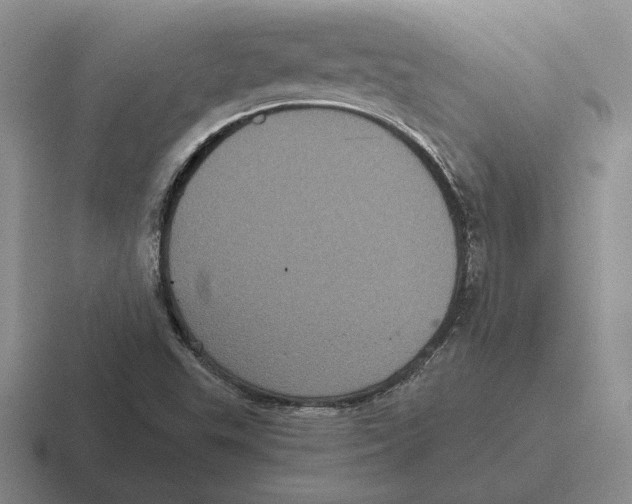 X0000116441503201001051154