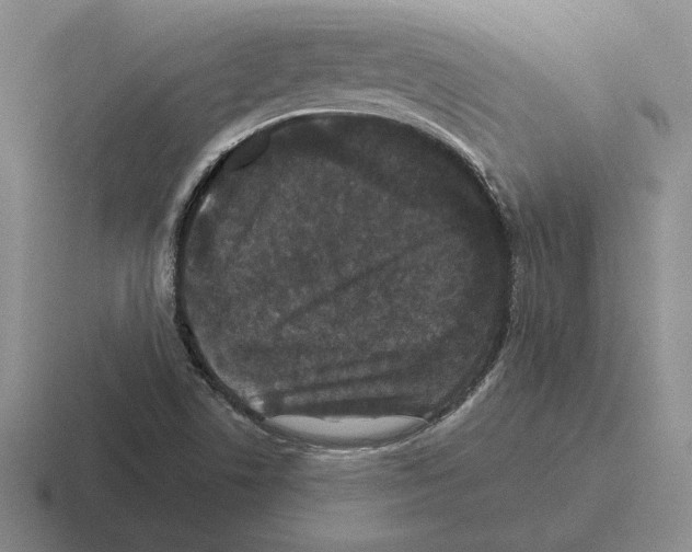 X0000116441506201001051155