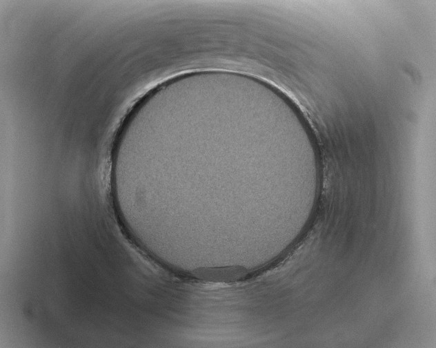 X0000116441507201001051155