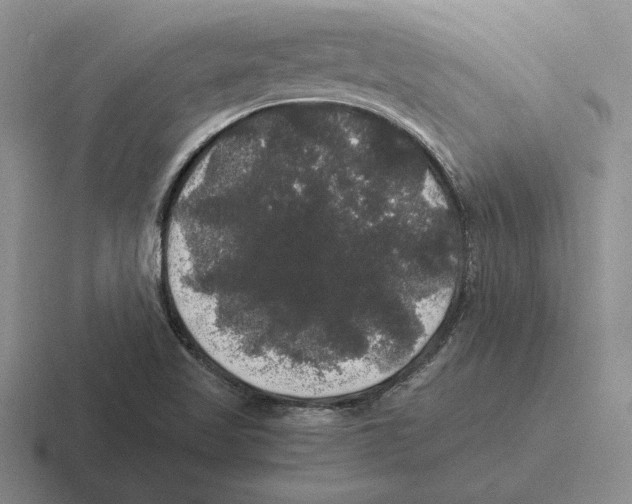 X0000116441509201001051155