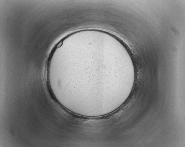 X0000116441510201001051155