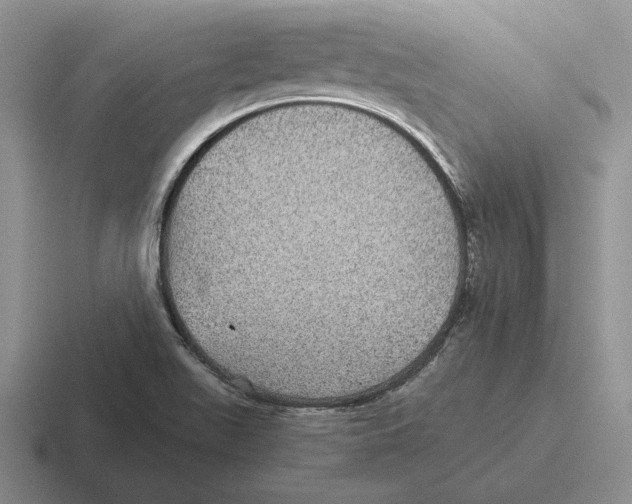 X0000116441511201001051155