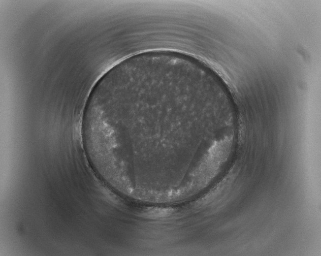 X0000116441513201001051155