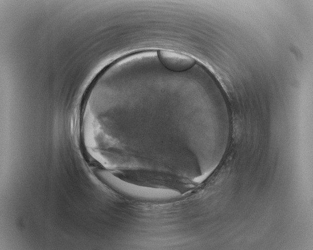 X0000116441515201001051155