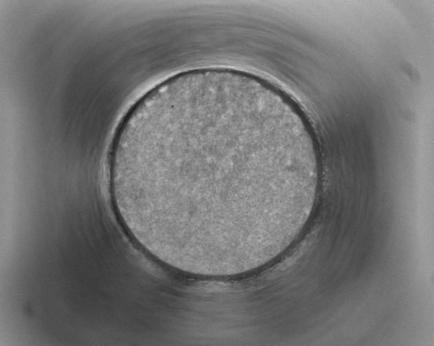 X0000116441517201001051155