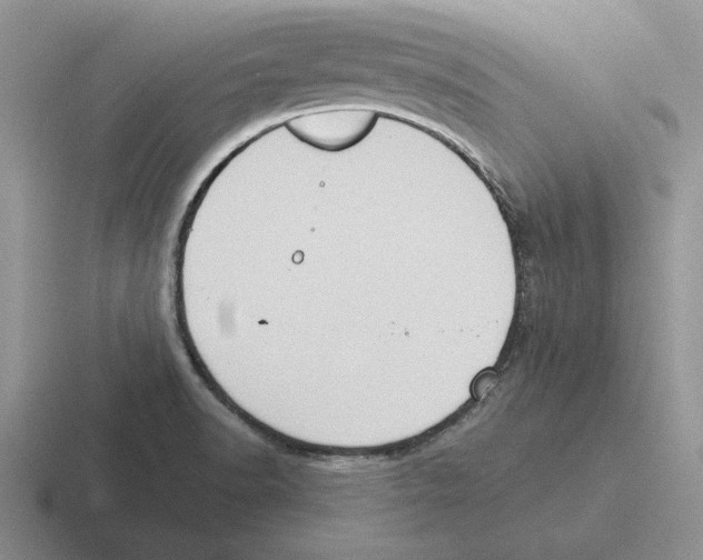 X0000116441518201001051155