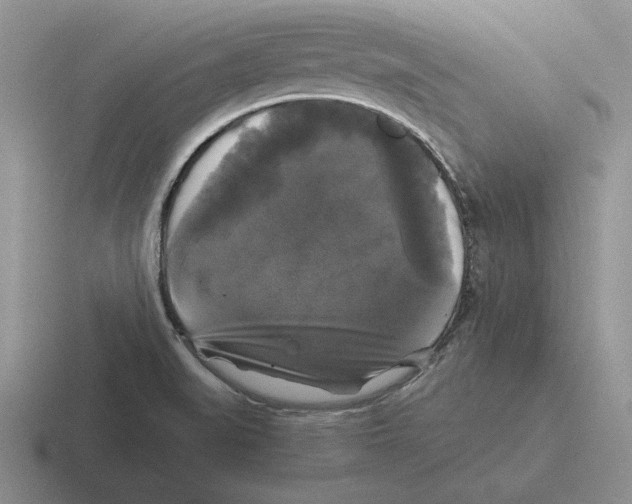 X0000116441519201001051155