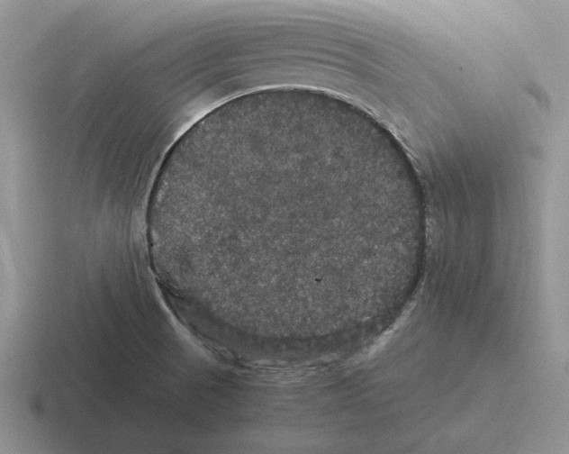 X0000116441521201001051155