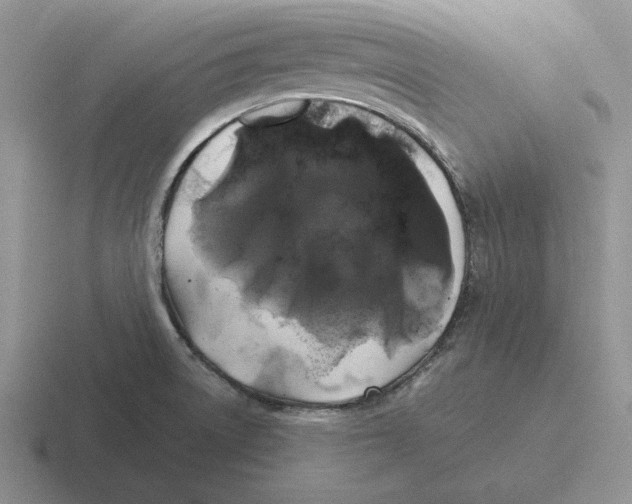 X0000116441522201001051155