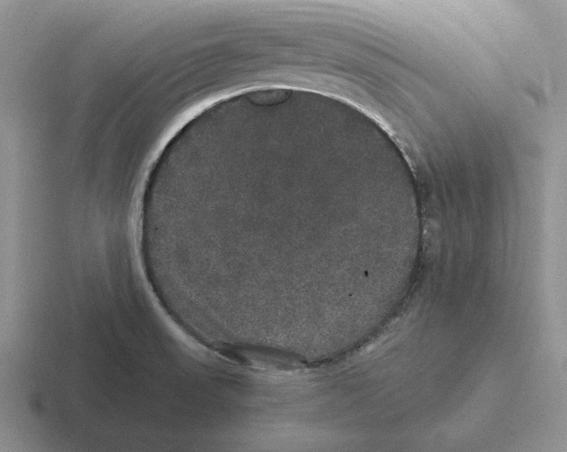 X0000116441523201001051155