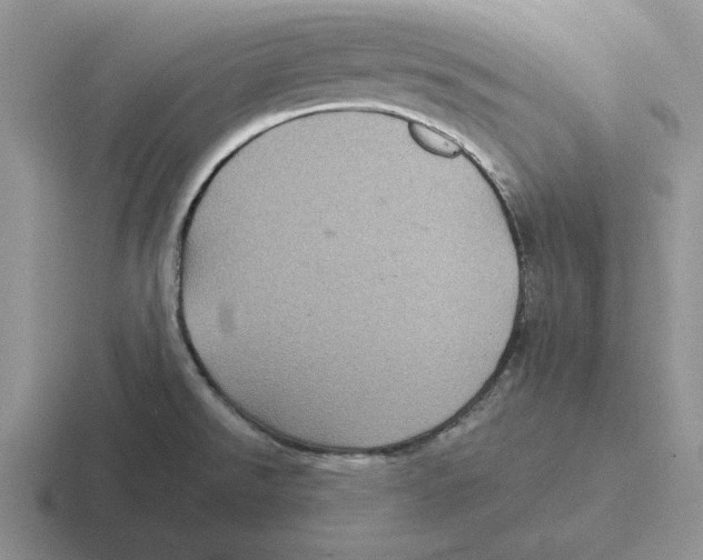 X0000116441526201001051155