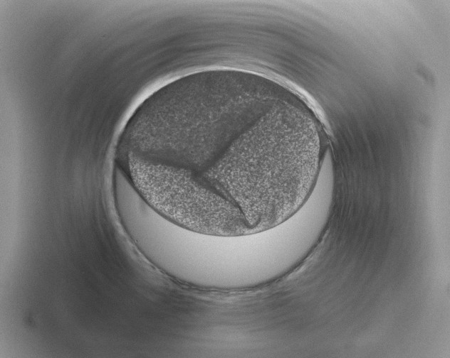 X0000116441530201001051155