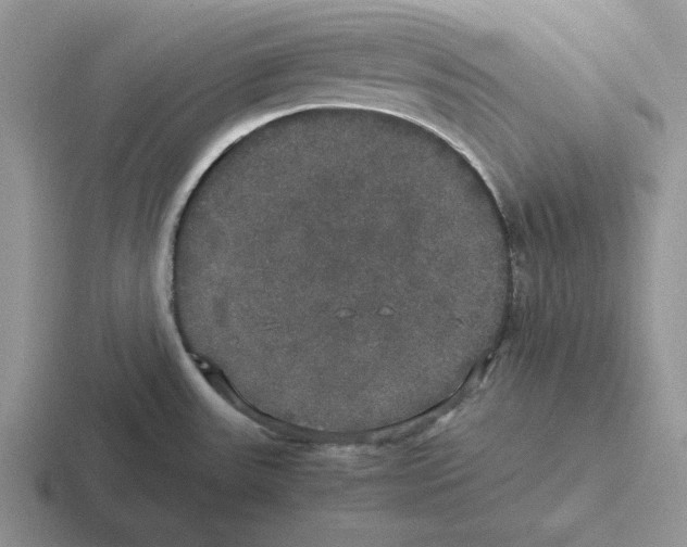 X0000116441531201001051155