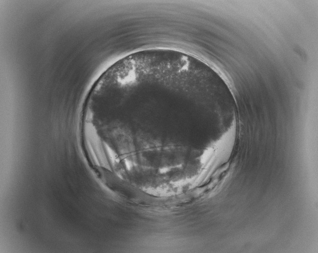 X0000116441533201001051155