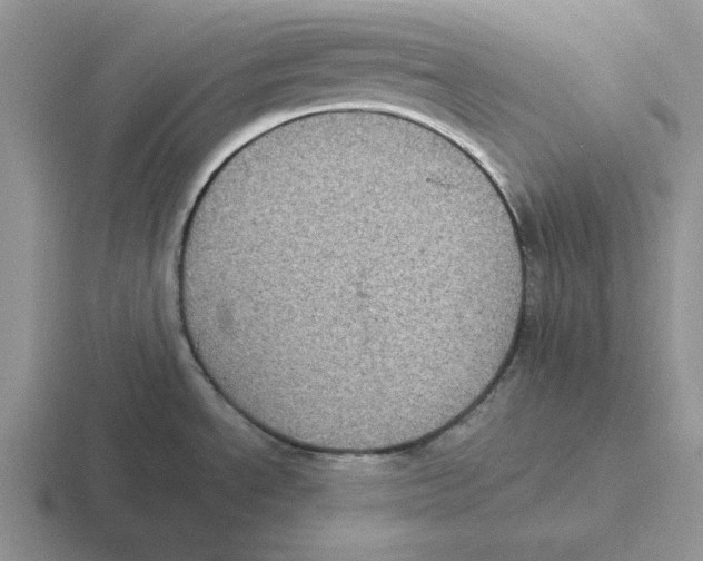 X0000116441534201001051155