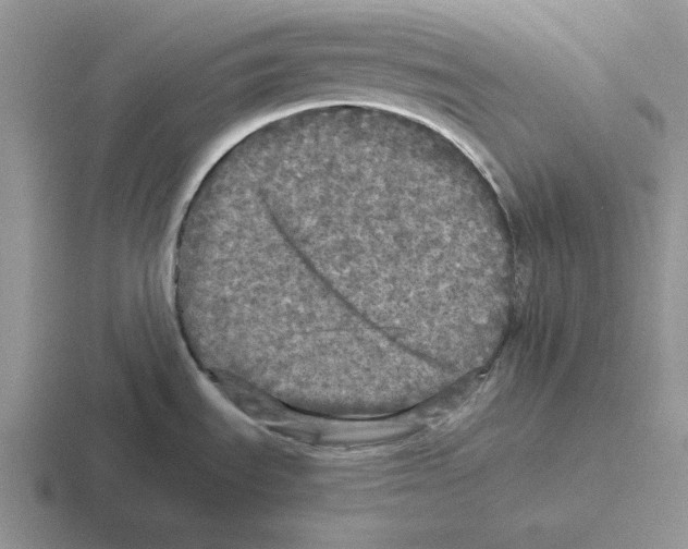 X0000116441535201001051155