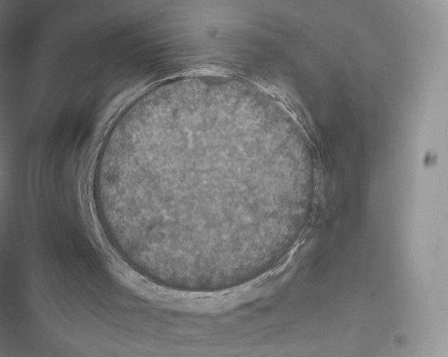 X0000116440001201001191541