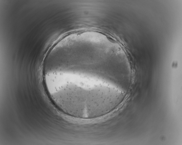 X0000116440002201001191541