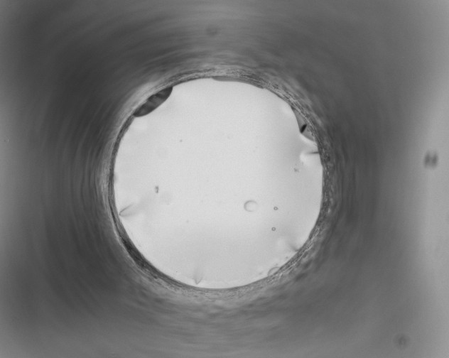 X0000116440003201001191541