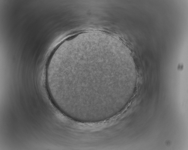 X0000116440005201001191541