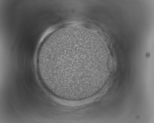 X0000116440006201001191541