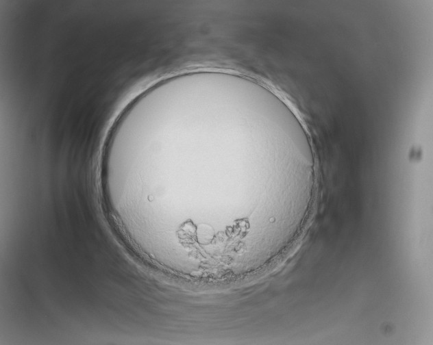 X0000116440008201001191541