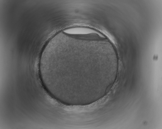 X0000116440009201001191541